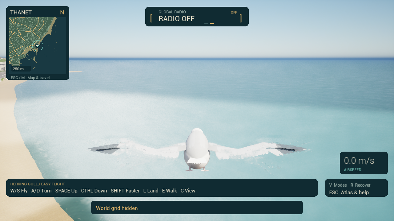Actual packaged-game flight test: a herring gull hovers beside the Ramsgate coastline, with the minimap and easy-flight controls visible.